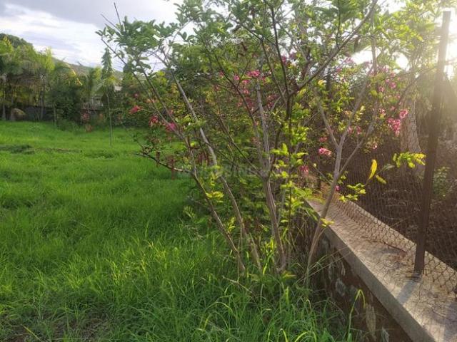 Agricultural Land in Khadakwasla for resale Pune. The reference number is 19248050