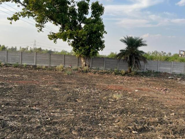 Agricultural Land in Kokta Bypass for resale Bhopal. The reference number is 20030154