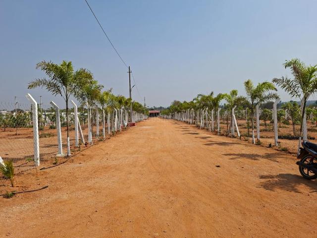 Agricultural Land in Kolanupaka for resale Yadadri Bhuvanagiri. The reference number is 20000817
