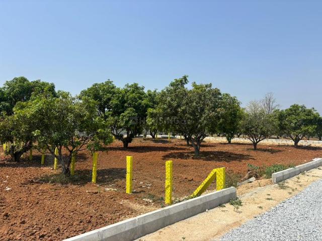 Agricultural Land in Kolar Town for resale Kolar. The reference number is 19919807