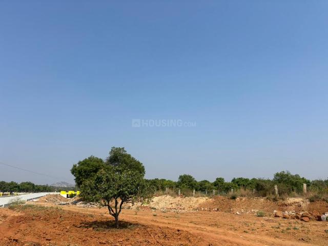Agricultural Land in Kolar Town for resale Kolar. The reference number is 19923047