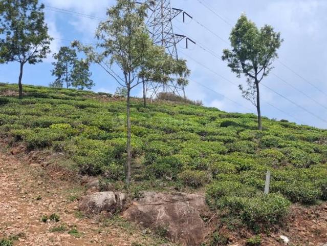 Agricultural Land in Kotagiri for resale Ooty. The reference number is 20390204