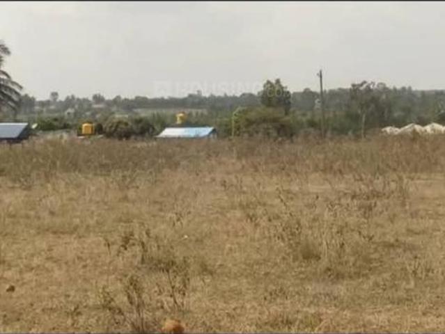 Agricultural Land in Lakkur for resale Kolar. The reference number is 19990298