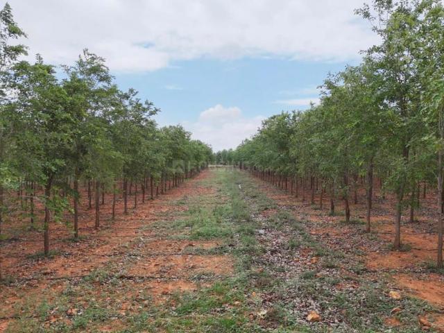 Agricultural Land in Lavelle Road for resale Bengaluru. The reference number is 18176619