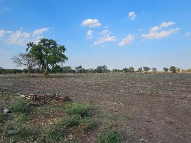 Agricultural Land in Lothal for resale Ahmedabad. The reference number is 19936115