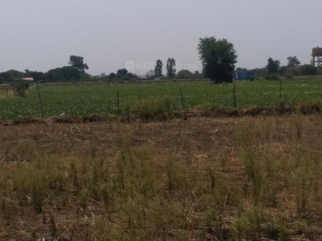 Agricultural Land in Mandideep for resale Bhopal. The reference number is 14700906