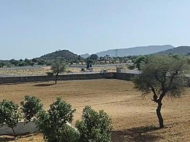 Agricultural Land in Mahlan for resale Jaipur. The reference number is 20474357