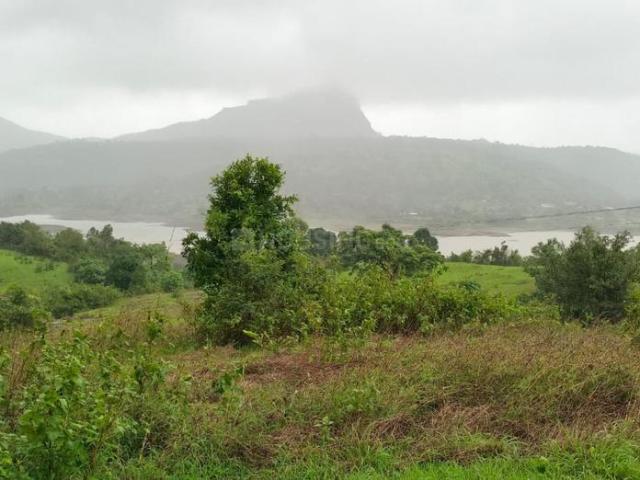 Agricultural Land in Maval for resale Lonavala. The reference number is 20847810