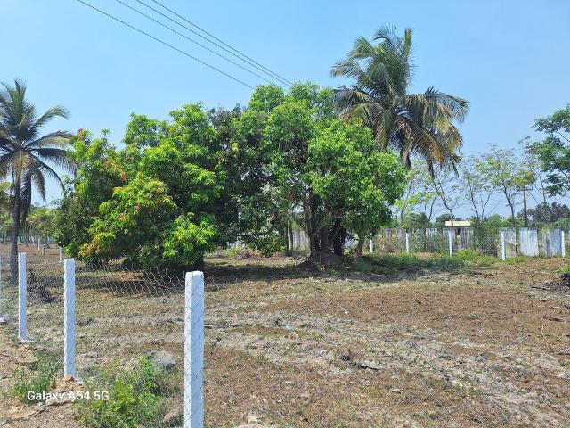 Agricultural Land in Melmaruvathur for resale Chennai. The reference number is 20155797