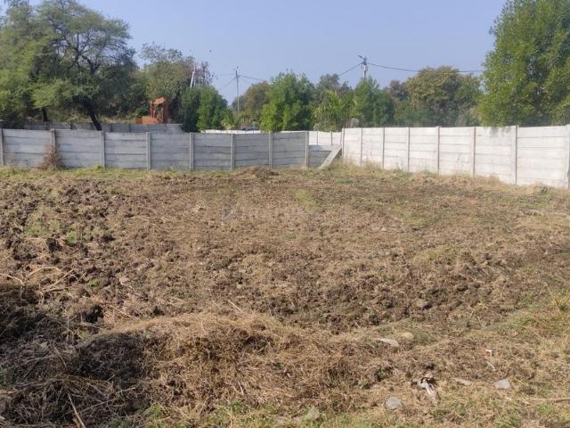 Agricultural Land in Mungaliya Chhap for resale Bhopal. The reference number is 16387031