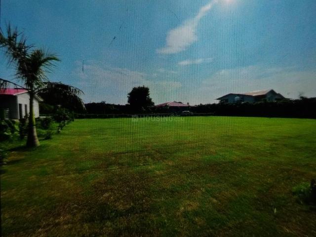 Agricultural Land in Nanak Heri Village for resale New Delhi. The reference number is 18792604