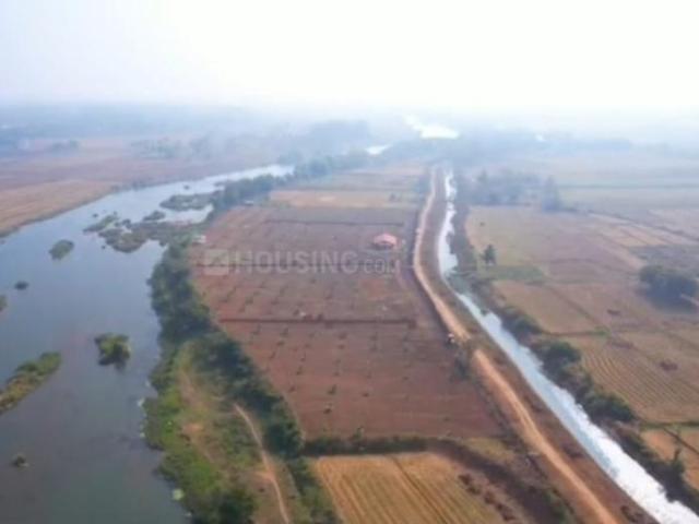 Agricultural Land in Nanjangud for resale Mysore. The reference number is 20460799