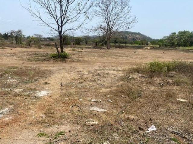 Agricultural Land in Nagaon for resale Alibag. The reference number is 10238196