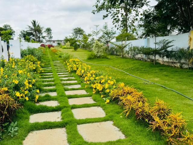 Agricultural Land in Narayankhed for resale Sangareddy. The reference number is 19530596