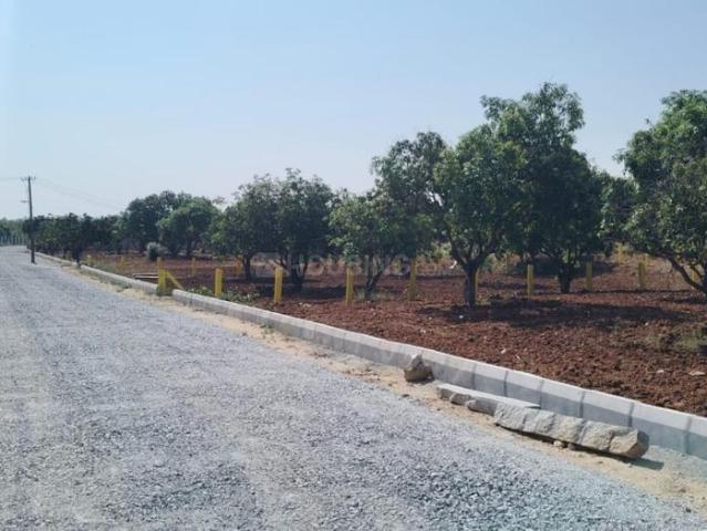 Agricultural Land in Narsapura for resale Kolar. The reference number is 20436208
