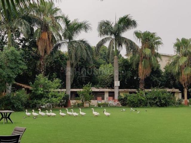Agricultural Land in Naugaon for resale Alwar. The reference number is 20665819