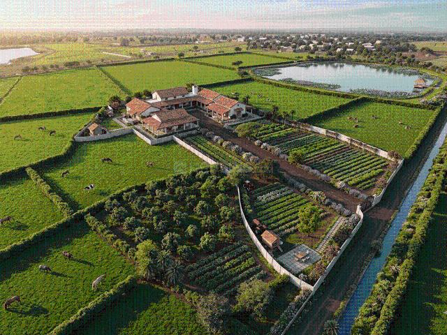 Agricultural Land in Naya Raipur for resale Raipur. The reference number is 20268619