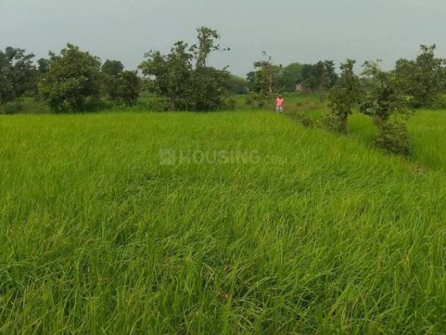 Agricultural Land in Naya Raipur for resale Raipur. The reference number is 20722518