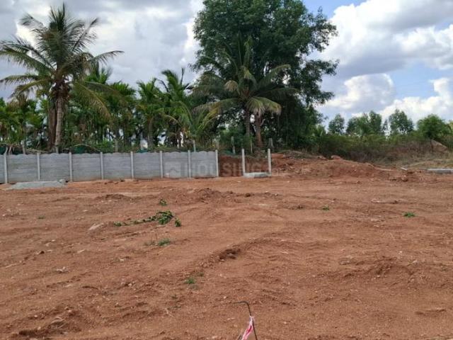 Agricultural Land in Nelamangala for resale Bengaluru. The reference number is 20379992