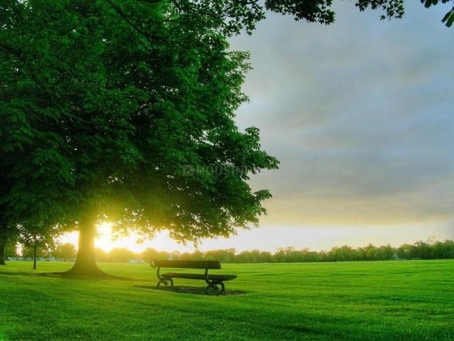 Agricultural Land in New Shimla for resale Shimla. The reference number is 16951793