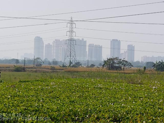 Agricultural Land in New Town for resale Kolkata. The reference number is 18774196