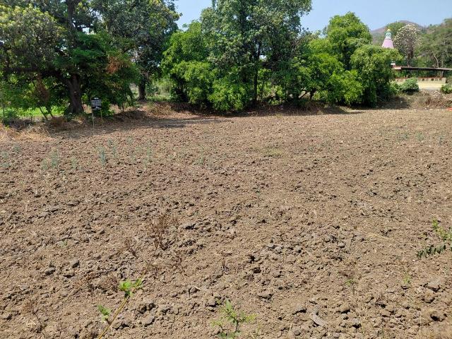 Agricultural Land in Panvel for resale Navi Mumbai. The reference number is 20548936