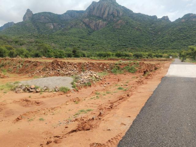 Agricultural Land in Pannimadai for resale Coimbatore. The reference number is 20557706