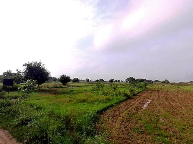 Agricultural Land in Palwal for resale Hodal. The reference number is 20685923