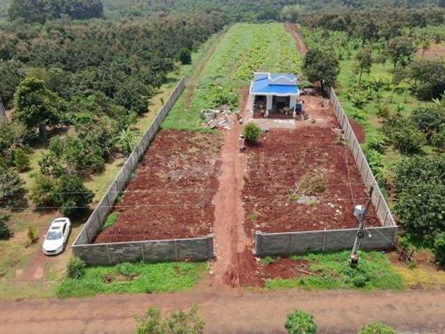 Agricultural Land in Palwal for resale Hodal. The reference number is 20711940