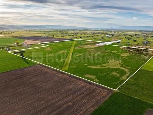 Agricultural Land in Palwal for resale Hodal. The reference number is 20719219