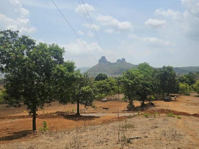 Agricultural Land in Pali for resale Raigad. The reference number is 20551311