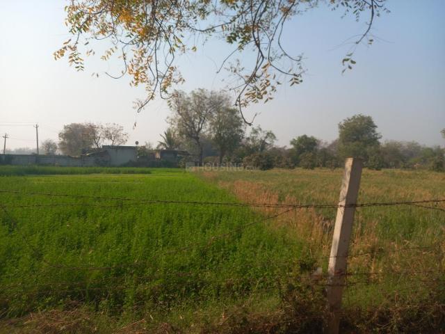 Agricultural Land in Palodia for resale Gandhinagar. The reference number is 19569034