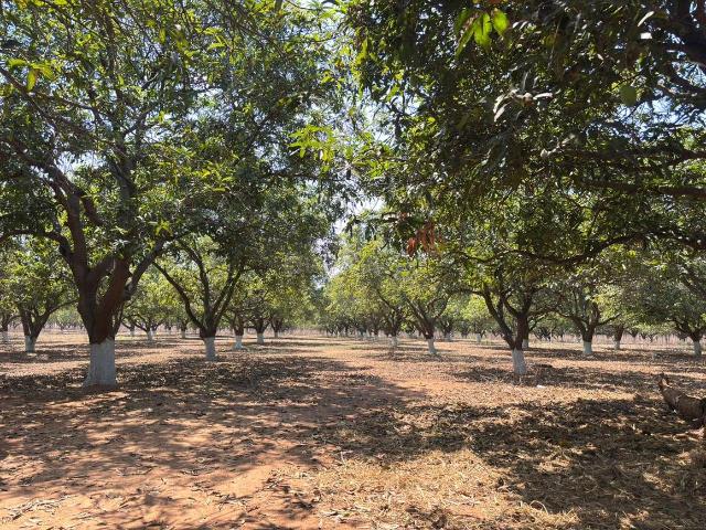 Agricultural Land in Patancheru for resale Sangareddy. The reference number is 20182409
