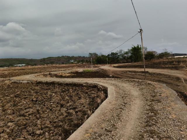 Agricultural Land in Pen for resale Raigad. The reference number is 20301915