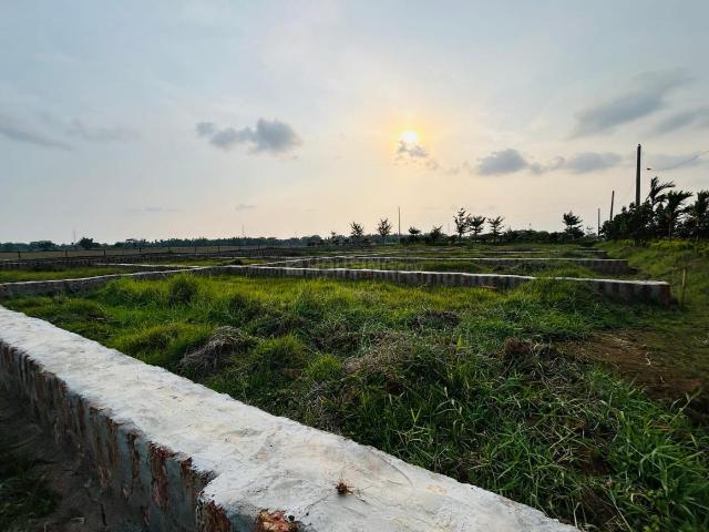 Agricultural Land in Phulnakhara for resale Cuttack. The reference number is 20343668