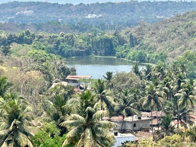 Agricultural Land in Porvorim for resale Goa. The reference number is 20213232
