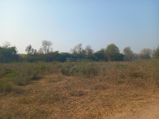Agricultural Land in Rancharda for resale Gandhinagar. The reference number is 19569064