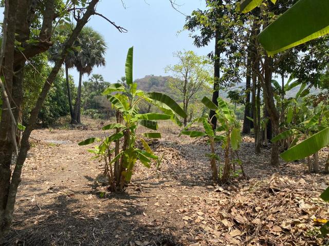 Agricultural Land in Revdanda for resale Alibag. The reference number is 14582342