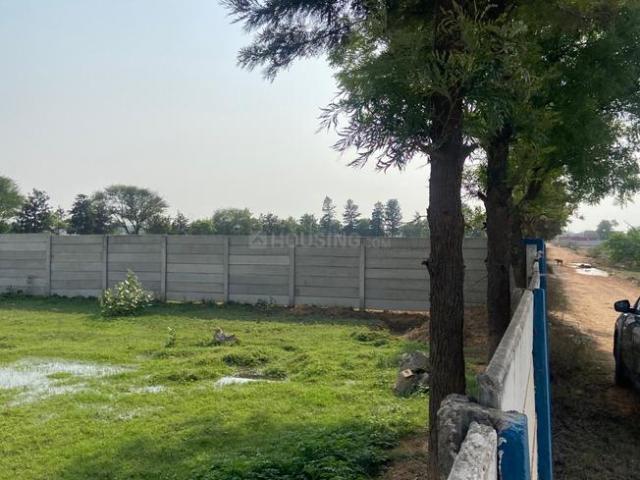 Agricultural Land in Sadhrana Bamripur for resale Gurgaon. The reference number is 20171646