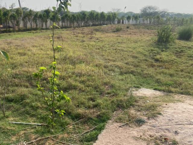 Agricultural Land in Sadhrana Bamripur for resale Gurgaon. The reference number is 20171667