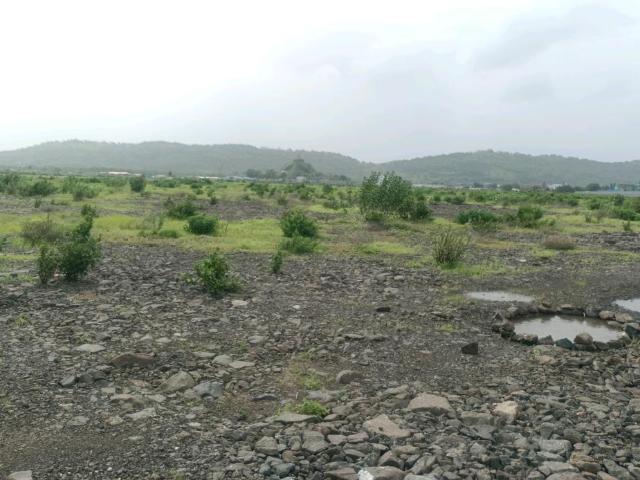 Agricultural Land in Sarde for resale Navi Mumbai. The reference number is 17612971