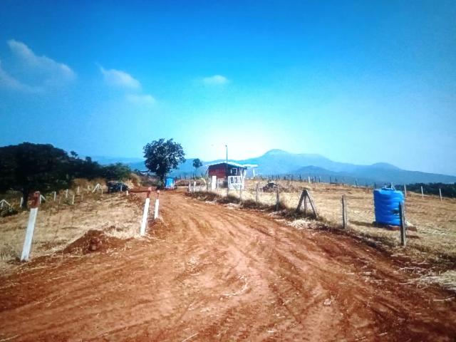 Agricultural Land in Sarde for resale Navi Mumbai. The reference number is 17700053