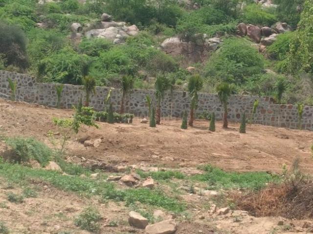 Agricultural Land in Sector 36 for resale Sohna. The reference number is 20718459