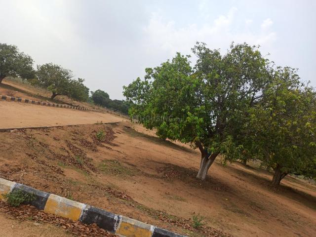 Agricultural Land in Shadnagar for resale Hyderabad. The reference number is 14590957