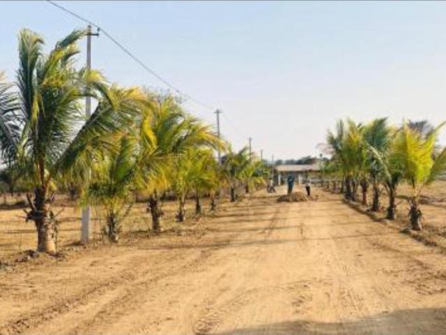 Agricultural Land in Shadnagar for resale Ranga Reddy. The reference number is 9706151