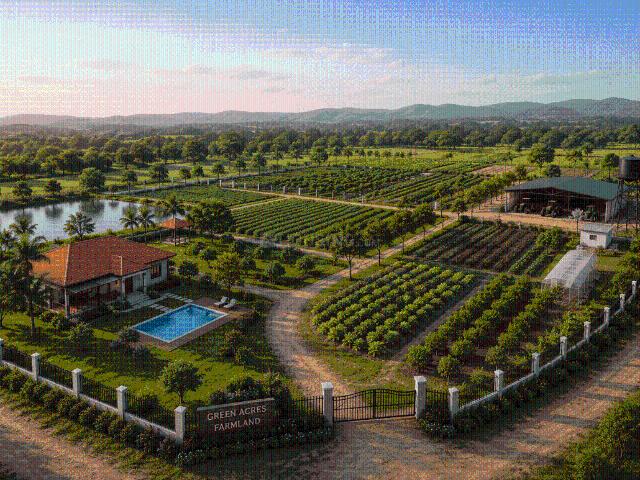 Agricultural Land in Shadnagar for resale Ranga Reddy. The reference number is 20667677