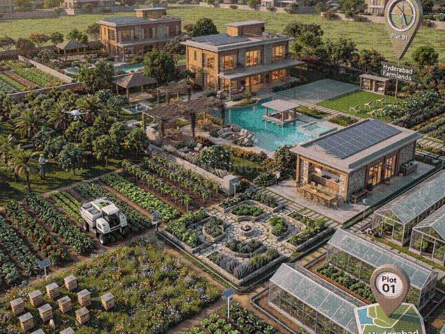 Agricultural Land in Shadnagar for resale Ranga Reddy. The reference number is 20668894