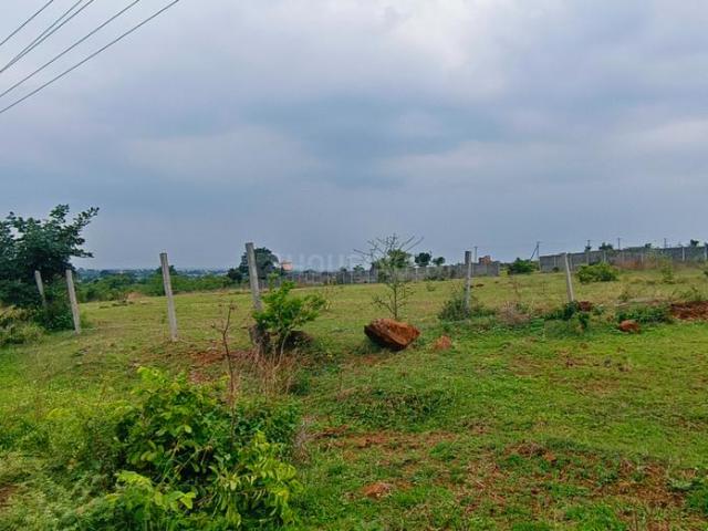 Agricultural Land in Shadnagar for resale Ranga Reddy. The reference number is 20691009