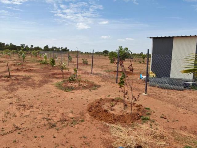 Agricultural Land in Sooriyur for resale Tiruchirappalli. The reference number is 20904417
