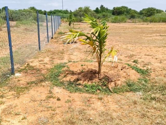 Agricultural Land in Sooriyur for resale Tiruchirappalli. The reference number is 20904768